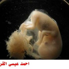 سورة الإنسان للشيخ الزين محمد أحمد