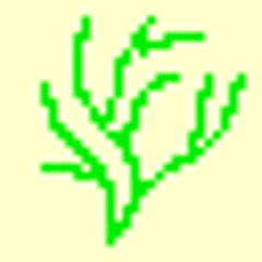 Zig Zags & WhiteOwls