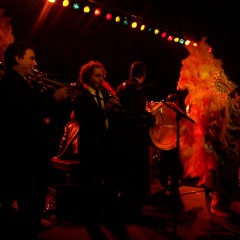 Going To Mardi Gras