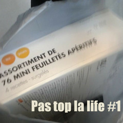 Pas Top La Life#1 : Les Haikus