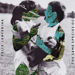 Felix Lenferink - Lodges In The Mind