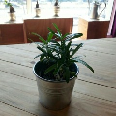 Perahu Kertas-Maudy Ayunda (cover by Niena Ajlaa)