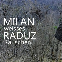 Milan Raduz - weißes Rauschen