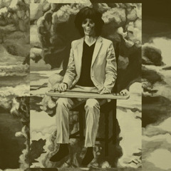 坂本慎太郎 - 未来の子守唄