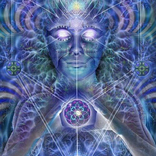 Sonic Species - Zero (Outsiders Remix)