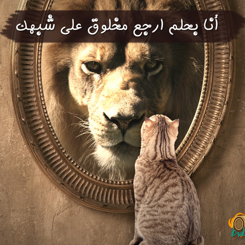 لا مش فرحان