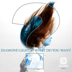 Diamond Lights - What Do You Want (Lefty Remix)