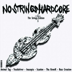 NSH00010 The Strings Edition