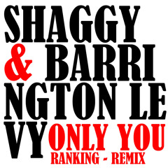 Shaggy + Barrington Levy - Only You (Don Ranking Remix)