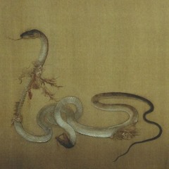 Terane