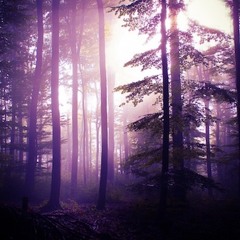 Sycho Sid - Syck Memories(prod. By Sycho Sid)