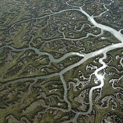 Dust Off - The Magic That Happens (When You Step Back)WIP