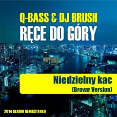 Q-BASS and DJ BRUSH - Niedzielny kac (Brovar Version)