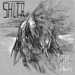 SHLTR - EXPECTATIONS Feat RED CHEEKS