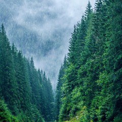 Traditional Oriental Violin Rap Beat Hip Hop Instrumental 2014 (FishBeats)