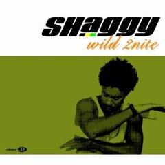 Wild To Night - Shaggy Ft Olivia - Dj Xavier Ibañez Ft Dj Jozh Mc Sin Sello