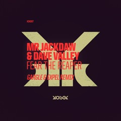 Mr Jackdaw & Dave Valley - Fear The Reaper (Original Mix)