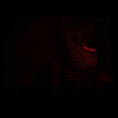 AGLORY - Panther