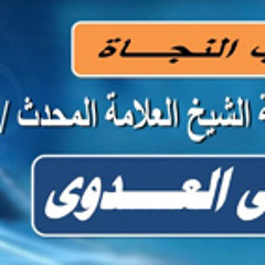 الشيخ مصطفى العدوى