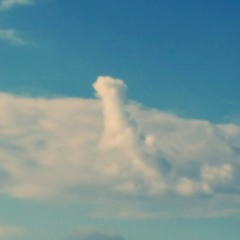 Apocafist