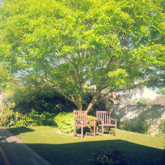 In The Shade