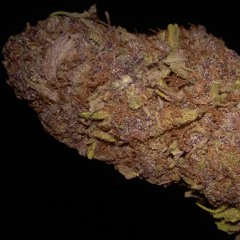 BARZ OUT THE ROOF at FRESNO