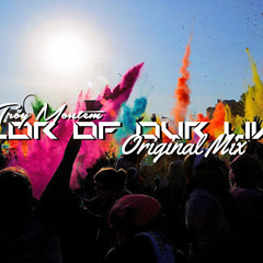Color Of Our Lives (Original Mix)