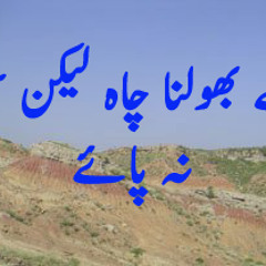 Tujhy bholna chaha -تجھے بھلانا چاہ ۔بھلا نہ پائے