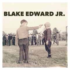 Fall Out Boy - Sugar, We're Going Down (Blake Edward Jr. Remix)