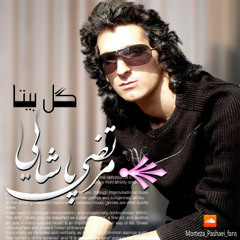 Morteza Pashaei - Mibakhsham - ميبخشم