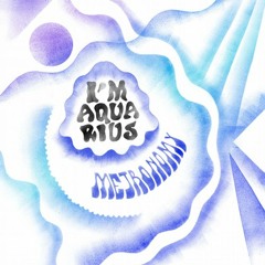 Metronomy - I'm Aquarius (Claptone Remix)