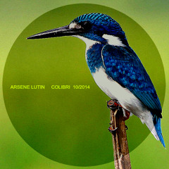 Arsène Lutin - COLIBRI ( Original Mix )