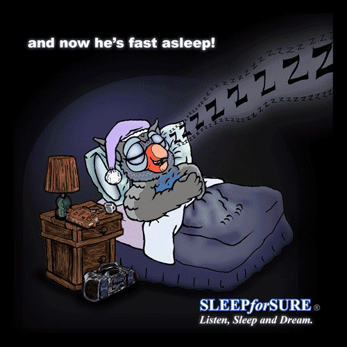 SLEEPforSURE - Binaural Beats