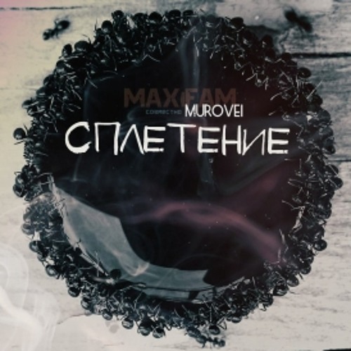 Maxifam & Murovei - Сплетение