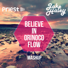 Chris Schweizer Vs. Enya - Believe In Orinoco Flow (Jake Haley & Priest Mashup)