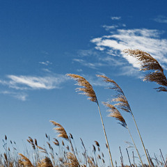 Street Where Wind Resides ^^