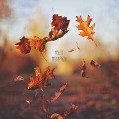 November sunshine