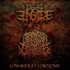 brutal slammimg death metal