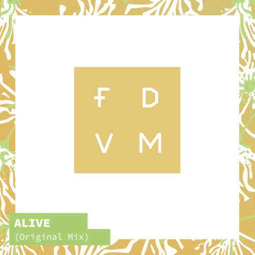 FDVM-Vrac