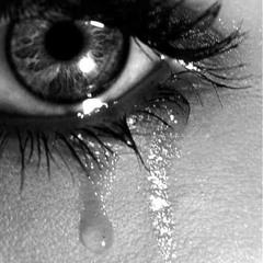 Ingrávido - No Escuchaste