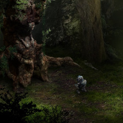 Bloom Memories - Old Tree