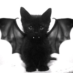 Our Top Ten #Halloween Songs