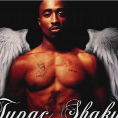 Tupac Shakur Ft. Skylar Grey - Better Dayz