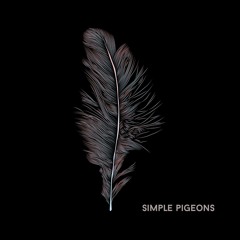 Simple Pigeons @ StuBru De Nieuwe Lichting