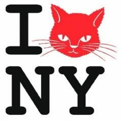 before the sunrise 2014