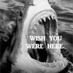 You Are the Only One I Love- Jaymay (cover)