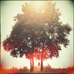 Mix&Match Final Match : Long Time No See