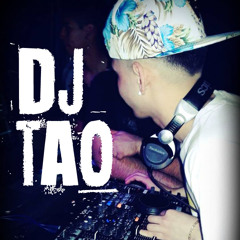 INTRO + PERREO FUERTE - DJ TAO 2014
