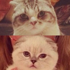 Meredith And Olivia Swift