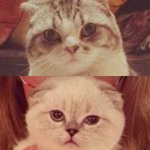 Meredith And Olivia Swift